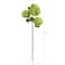 Green Snowball Hydrangea Artificial Flower Stem, 2ct.